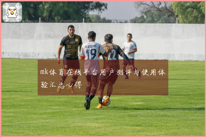 mk体育在线平台用户测评与使用体验汇总心得
