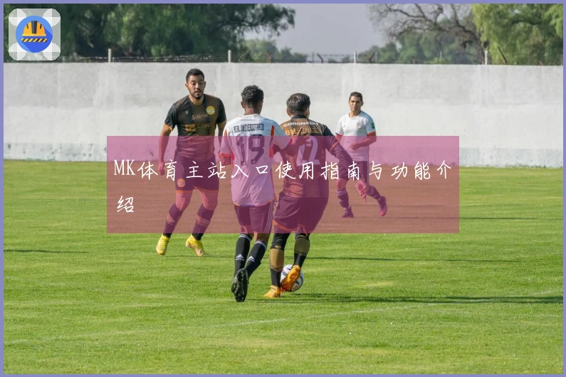 MK体育主站入口使用指南与功能介绍
